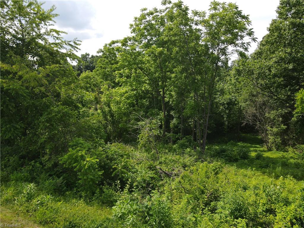 Tbd Clearview Road Moravian Falls, NC 28654 - Photo 10 of 20 Gallery Image 10