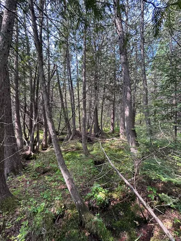 $49,500 | Vega Road, Hermansville, MI 49847