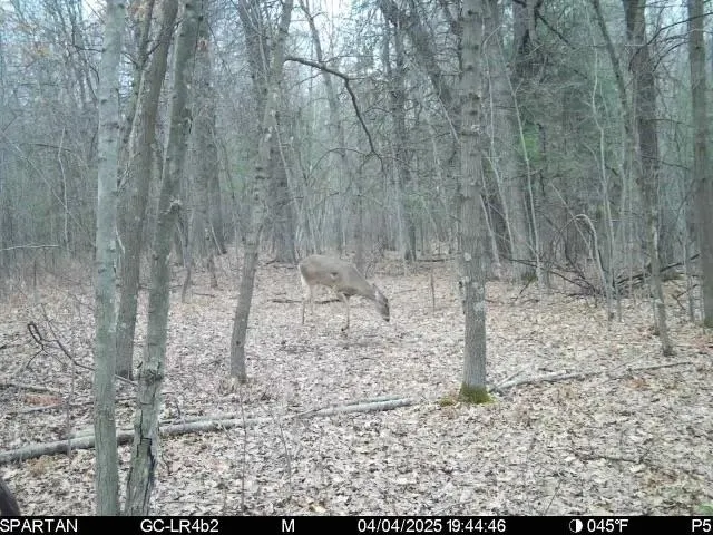 $49,500 | Vega Road, Hermansville, MI 49847