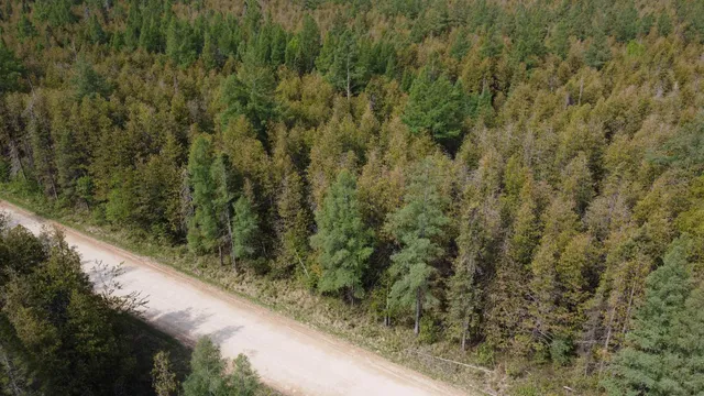 $49,500 | Vega Road, Hermansville, MI 49847