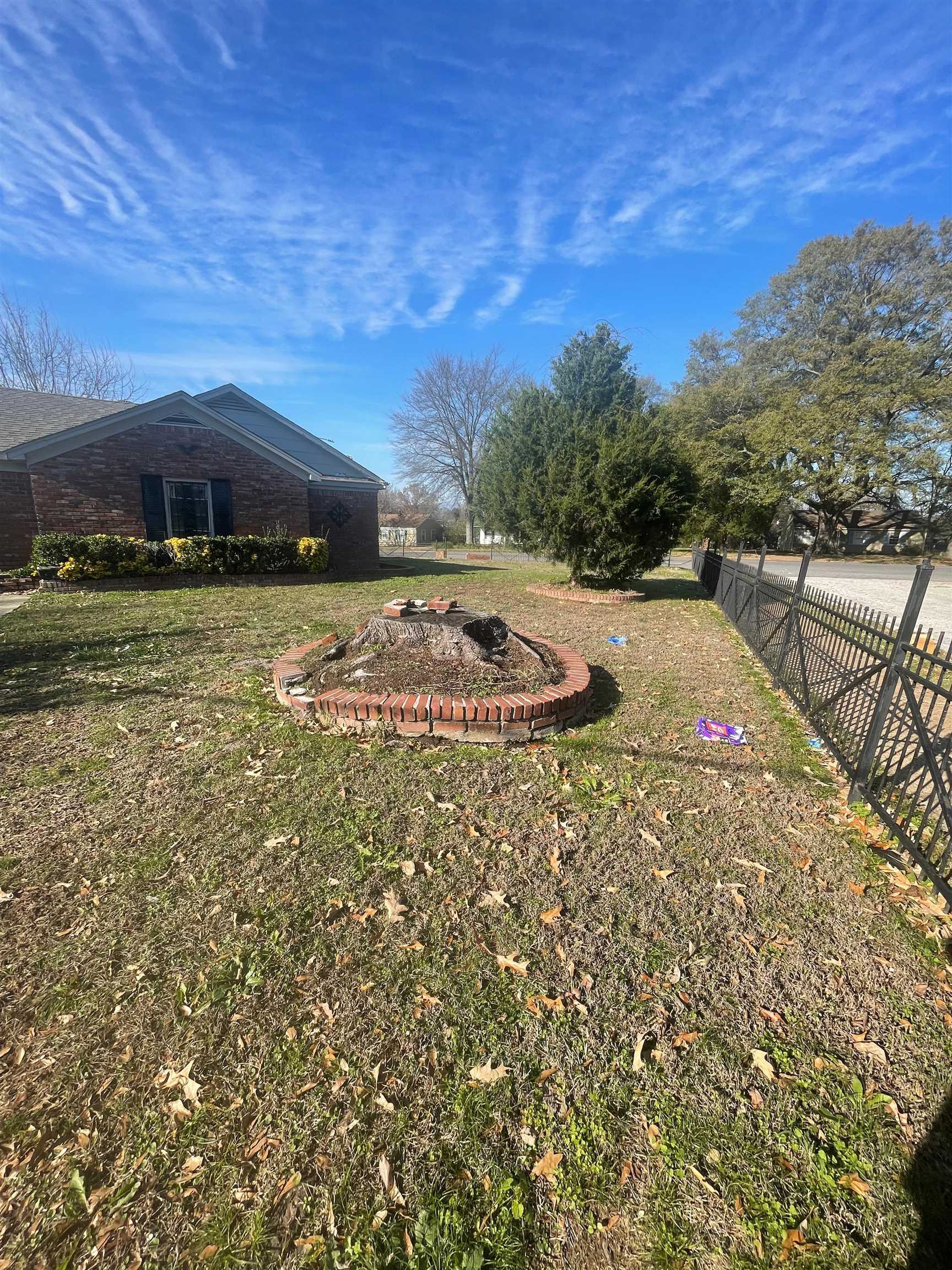 271 West Brooks Road Memphis, TN 38109 - Photo 3 of 17 View of yard