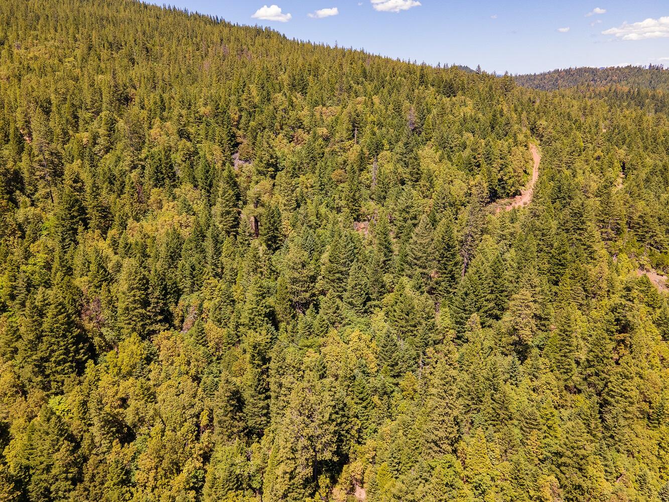 Jumpoff Joe Creek Road Grants Pass, OR 97526 - Photo 23 of 33 DJI_0437HDR01