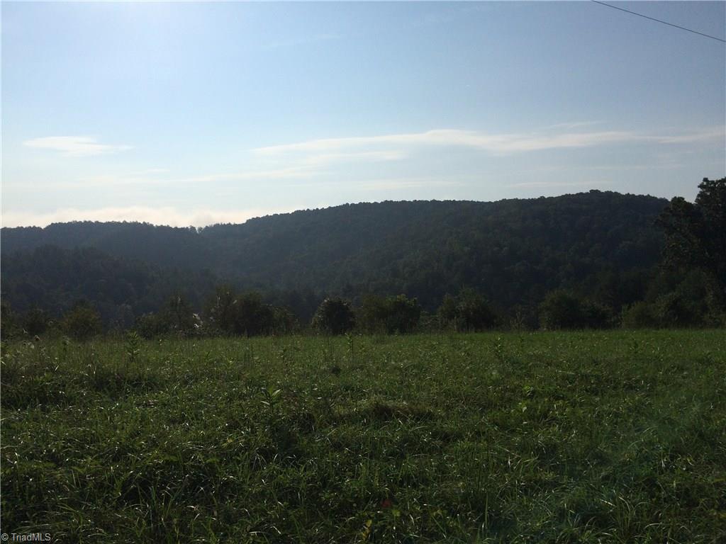 0 Mount Hope Road Fries, VA 24330 - Photo 2 of 4 Gallery Image 2