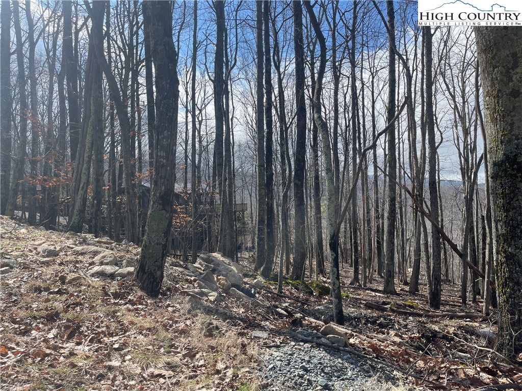 125 Club House Road Beech Mountain, NC 28604 - Photo 3 of 4 a view of a backyard