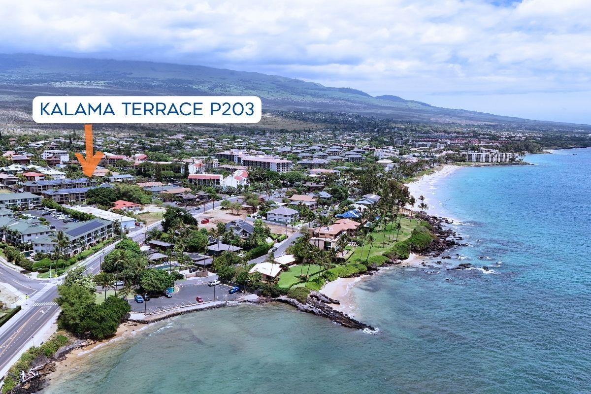 35 Walaka Street, Unit P203 Kihei, HI 96753 - Photo 36 of 41