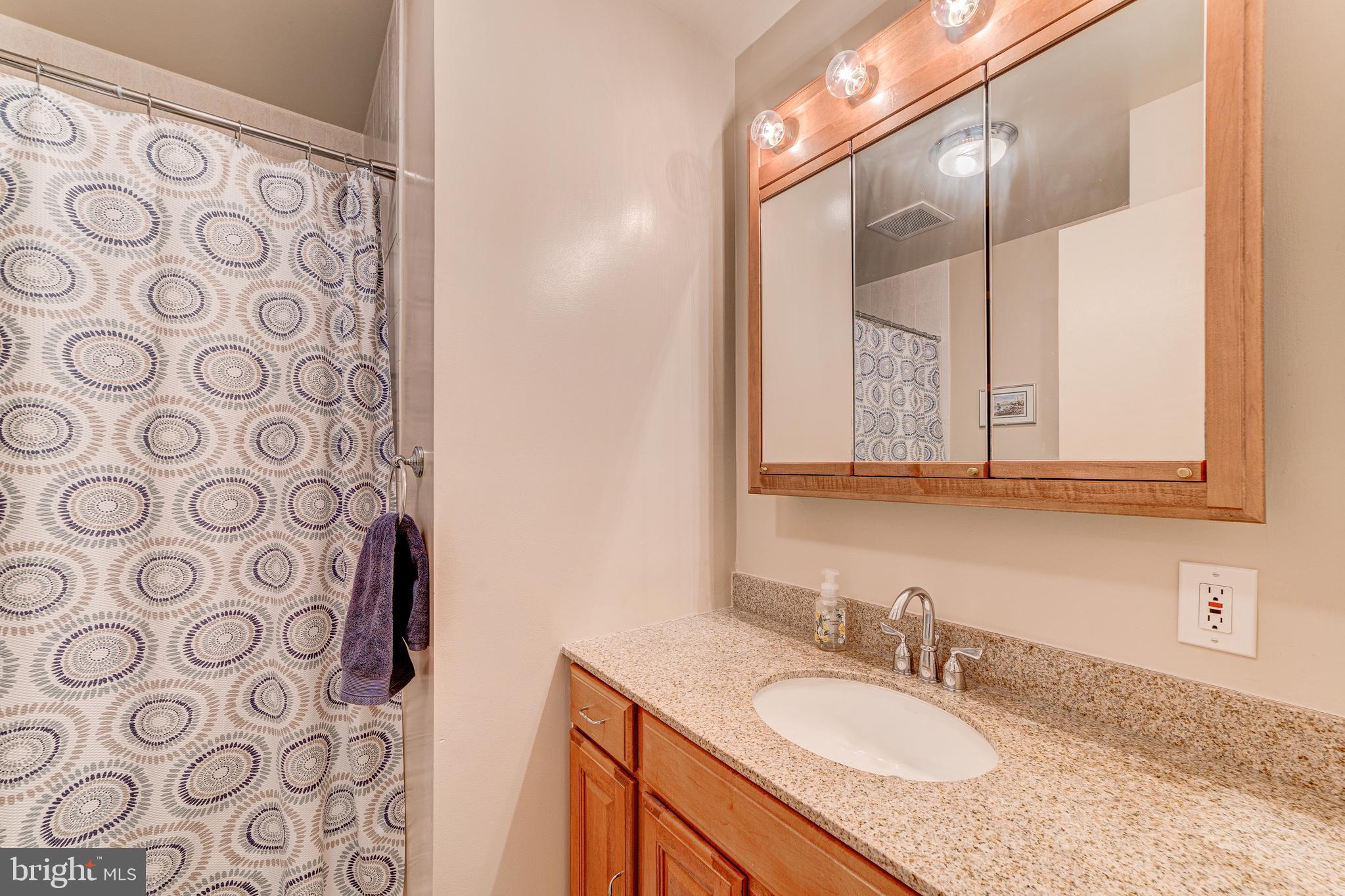 8102 Hudson Falls Way Springfield, VA 22153 - Photo 38 of 61 Gallery Image 38