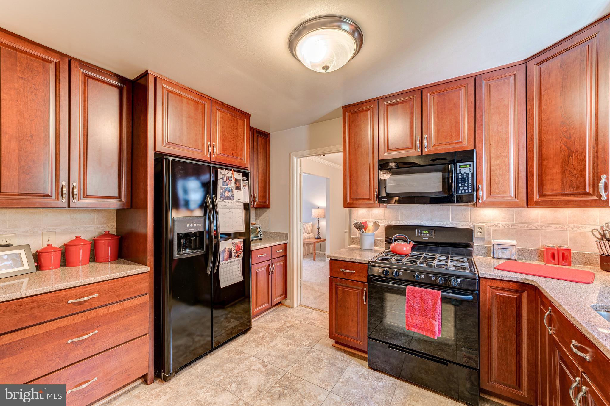 8102 Hudson Falls Way Springfield, VA 22153 - Photo 8 of 61 Gallery Image 8