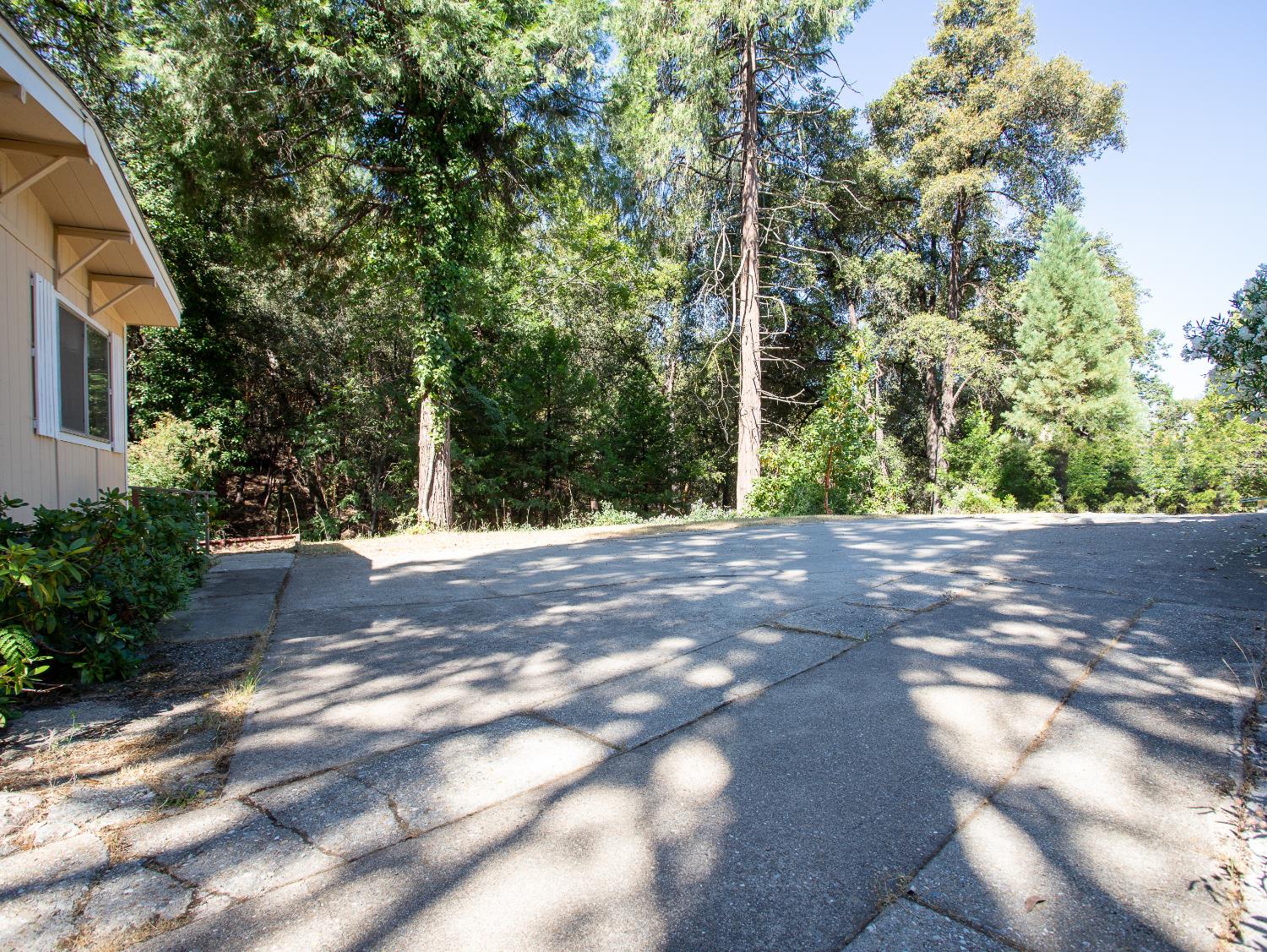 14074 Irish Town Road, Unit 40 Pine Grove, CA 95665 - Photo 2 of 51 a view of a yard with plants and trees
