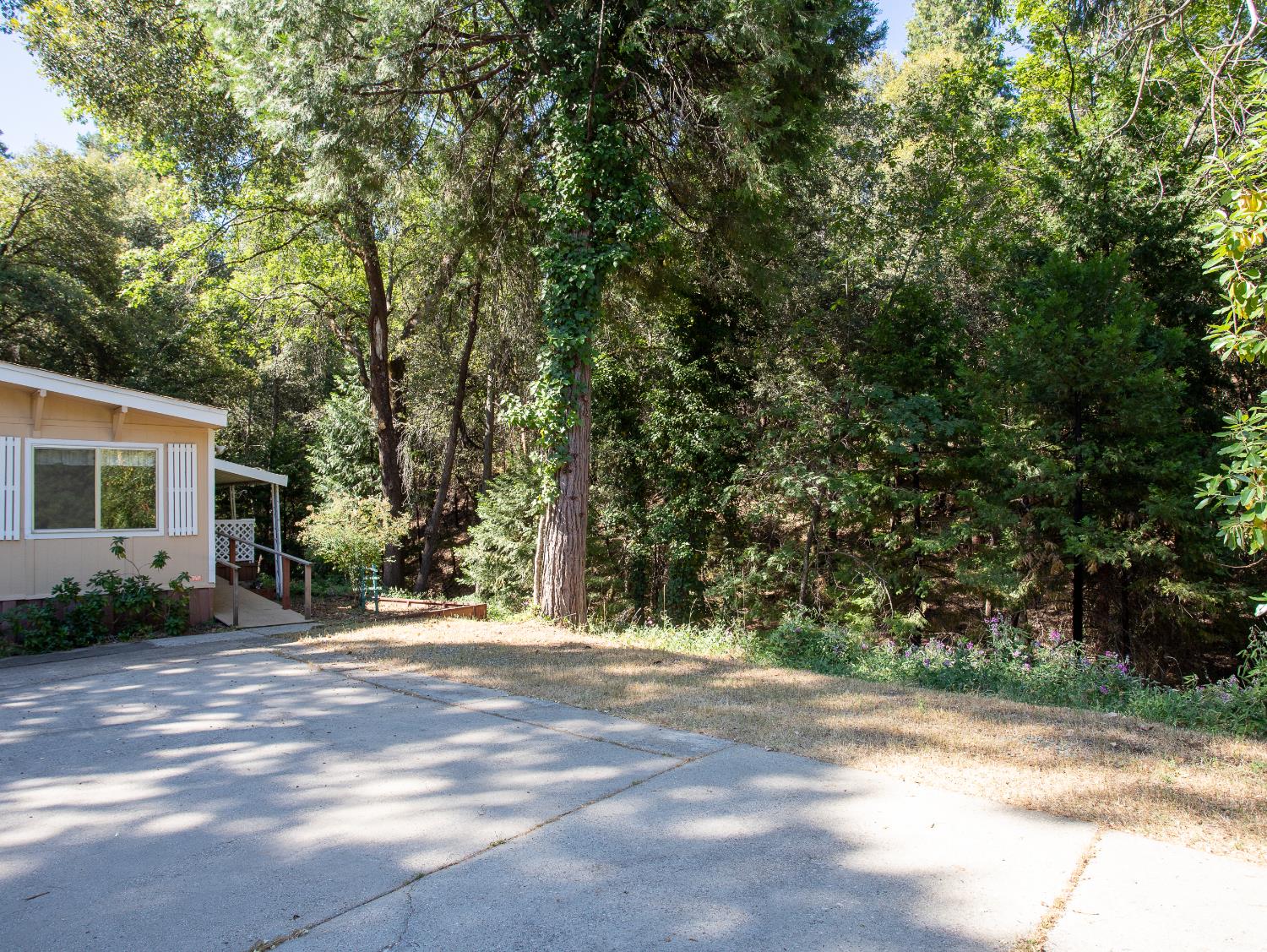 14074 Irish Town Road, Unit 40 Pine Grove, CA 95665 - Photo 34 of 51 a view of backyard of a house