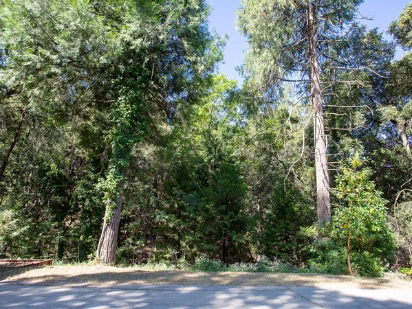 a view of a backyard with a large tree and wooden fence