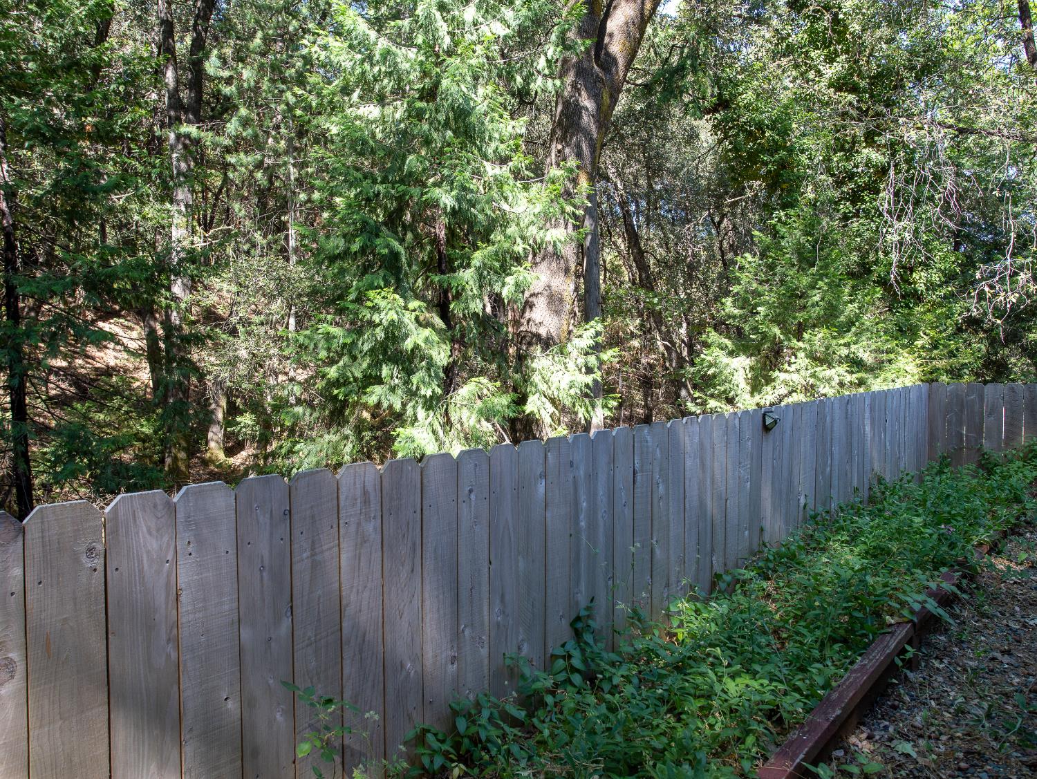 14074 Irish Town Road, Unit 40 Pine Grove, CA 95665 - Photo 41 of 51