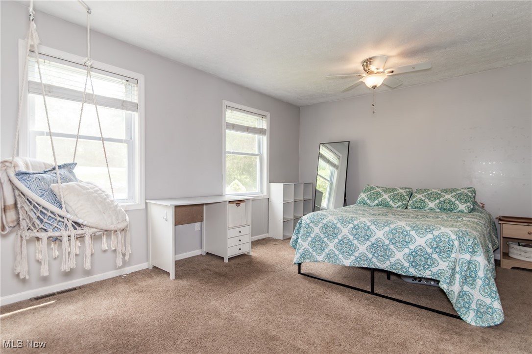 9723 Thwing Road Chardon, OH 44024 - Photo 25 of 42 Bedroom featuring carpet floors and a ceiling fan