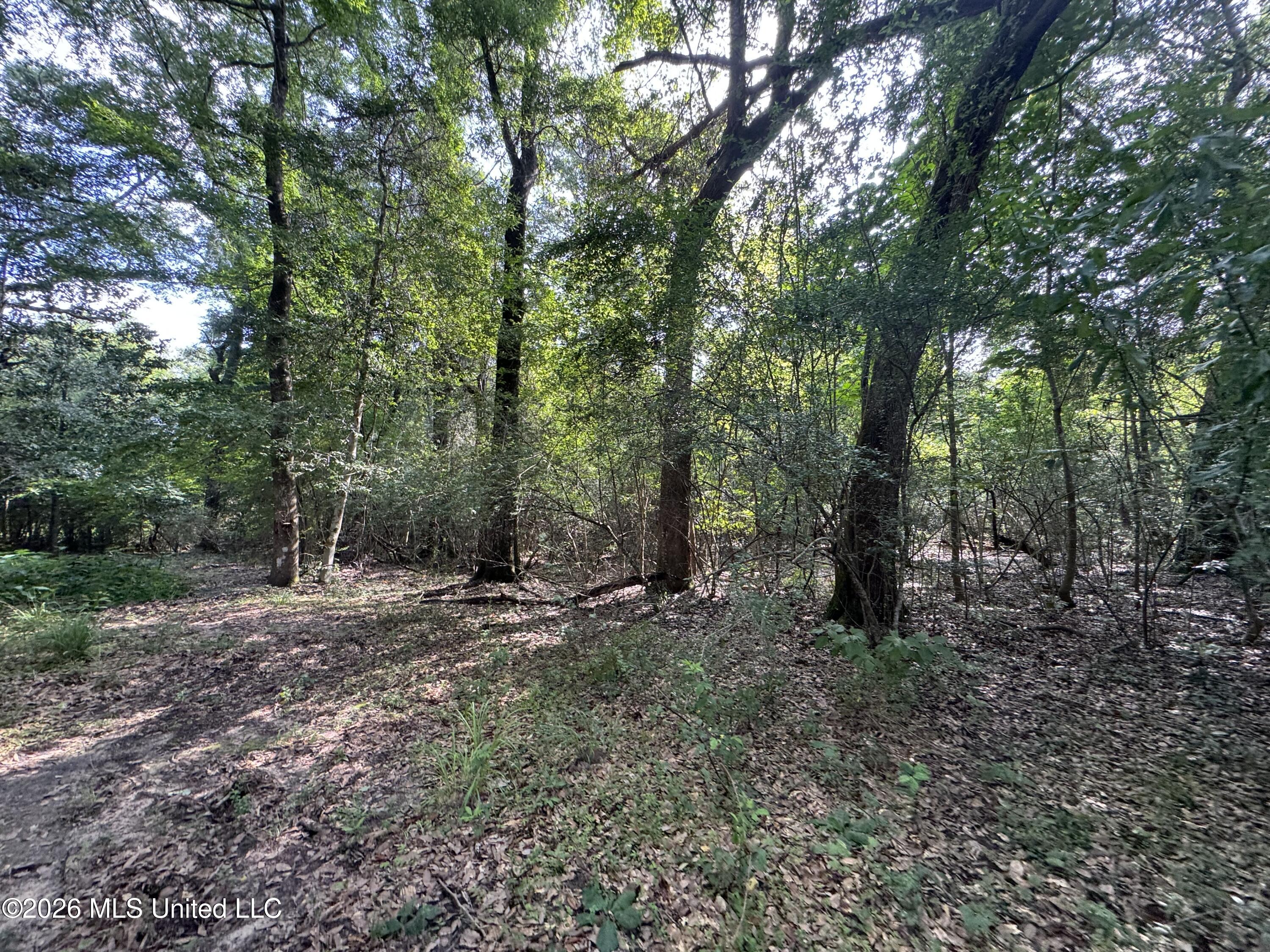 2980 Dwyer Branch Road Vancleave, MS 39565 - Photo 14 of 106 IMG_2626