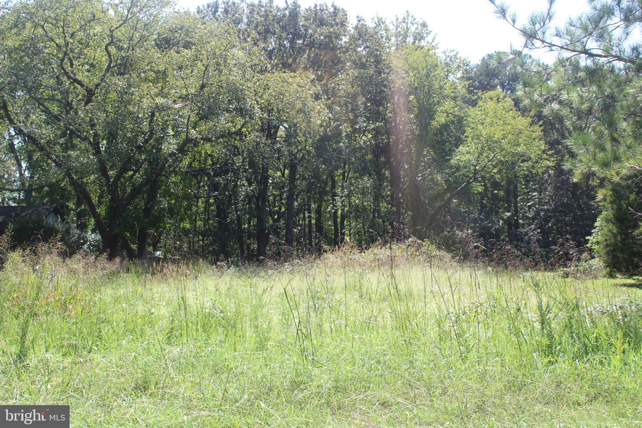 0 Harrison Road Deal Island, MD 21821 - Photo 1 of 4 Gallery Image 1