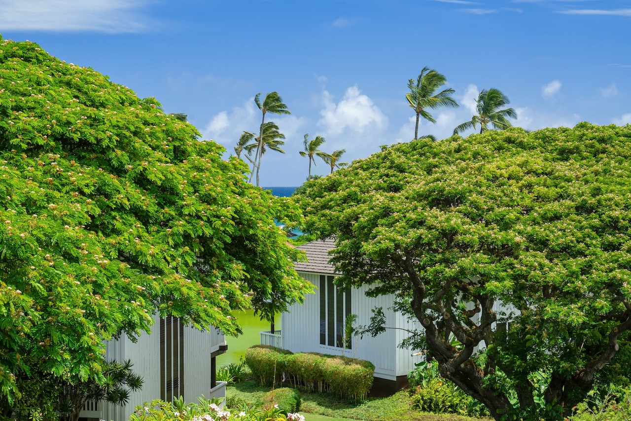 2253 Poipu Road, Unit 227 Koloa, HI 96756 - Photo 16 of 30