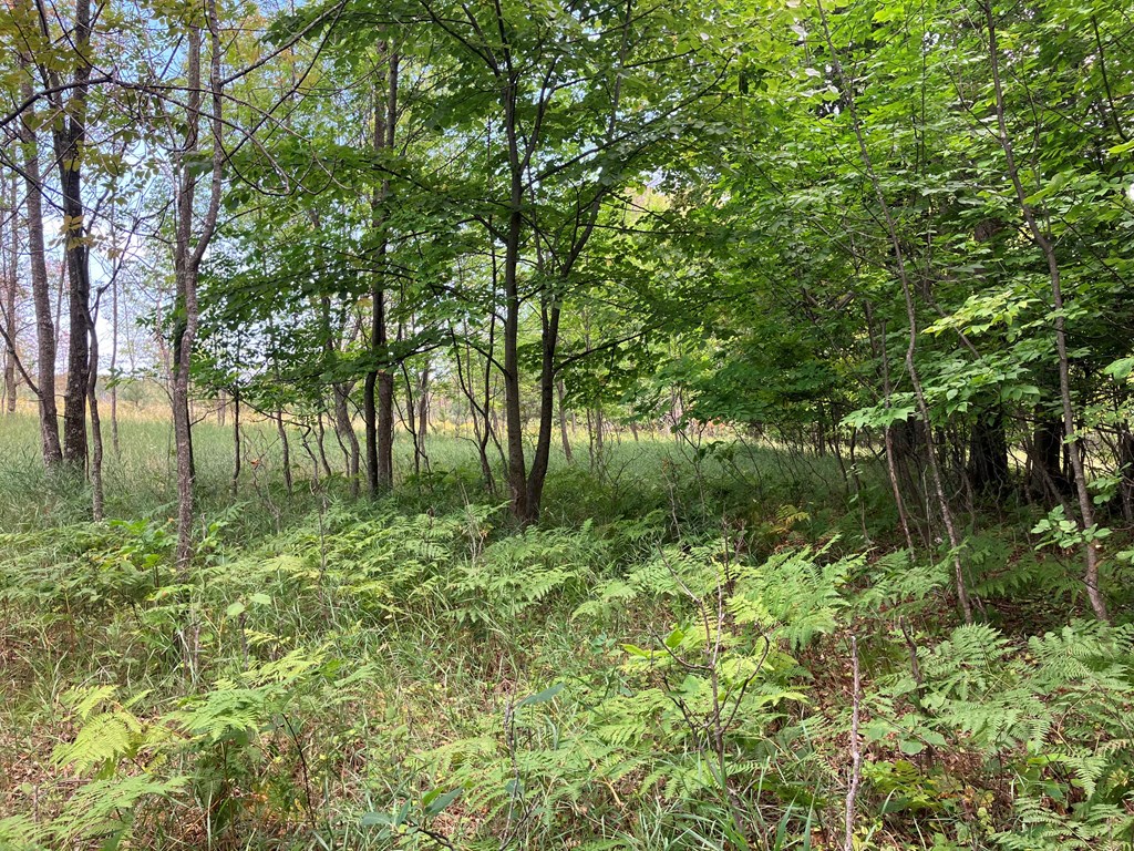 East) Wildwood Road Sister Bay, WI 54234 - Photo 2 of 7