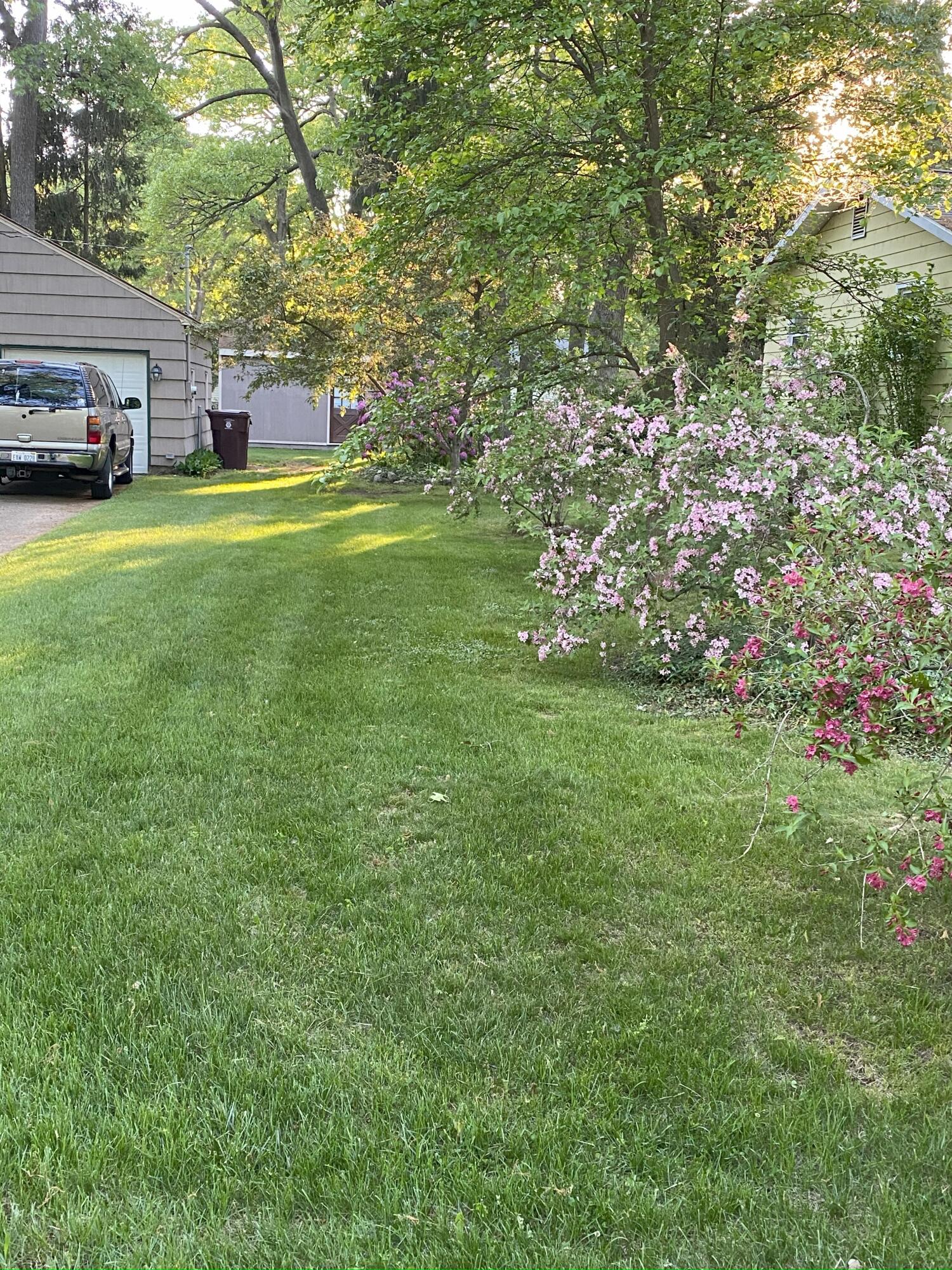 1279 Poulson Road Muskegon, MI 49445 - Photo 7 of 30 Side yard Mid-June