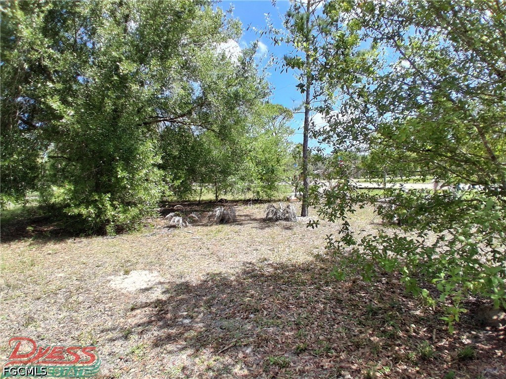 5320 8th Street Clewiston, FL 33440 - Photo 29 of 44