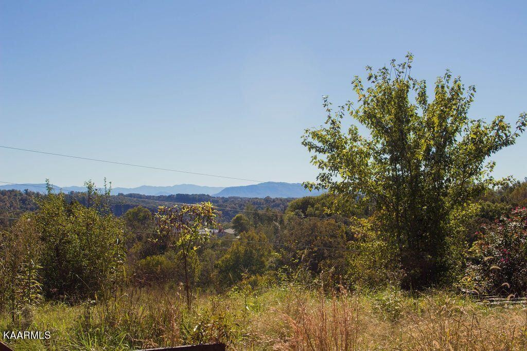 3843 Catewright Road Kodak, TN 37764 - Photo 19 of 19