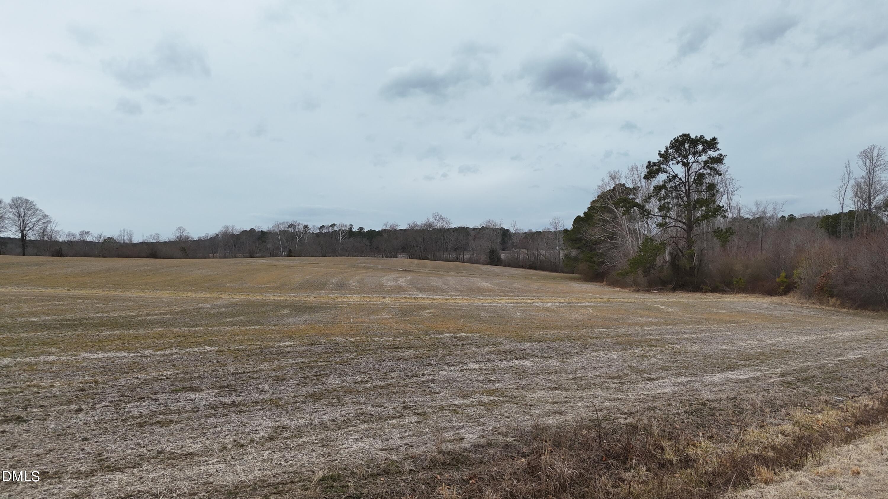 0 Walnut Grove Church Road Louisburg, NC 27549 - Photo 21 of 43 dji_fly_20260218_164302_0021_17714520593