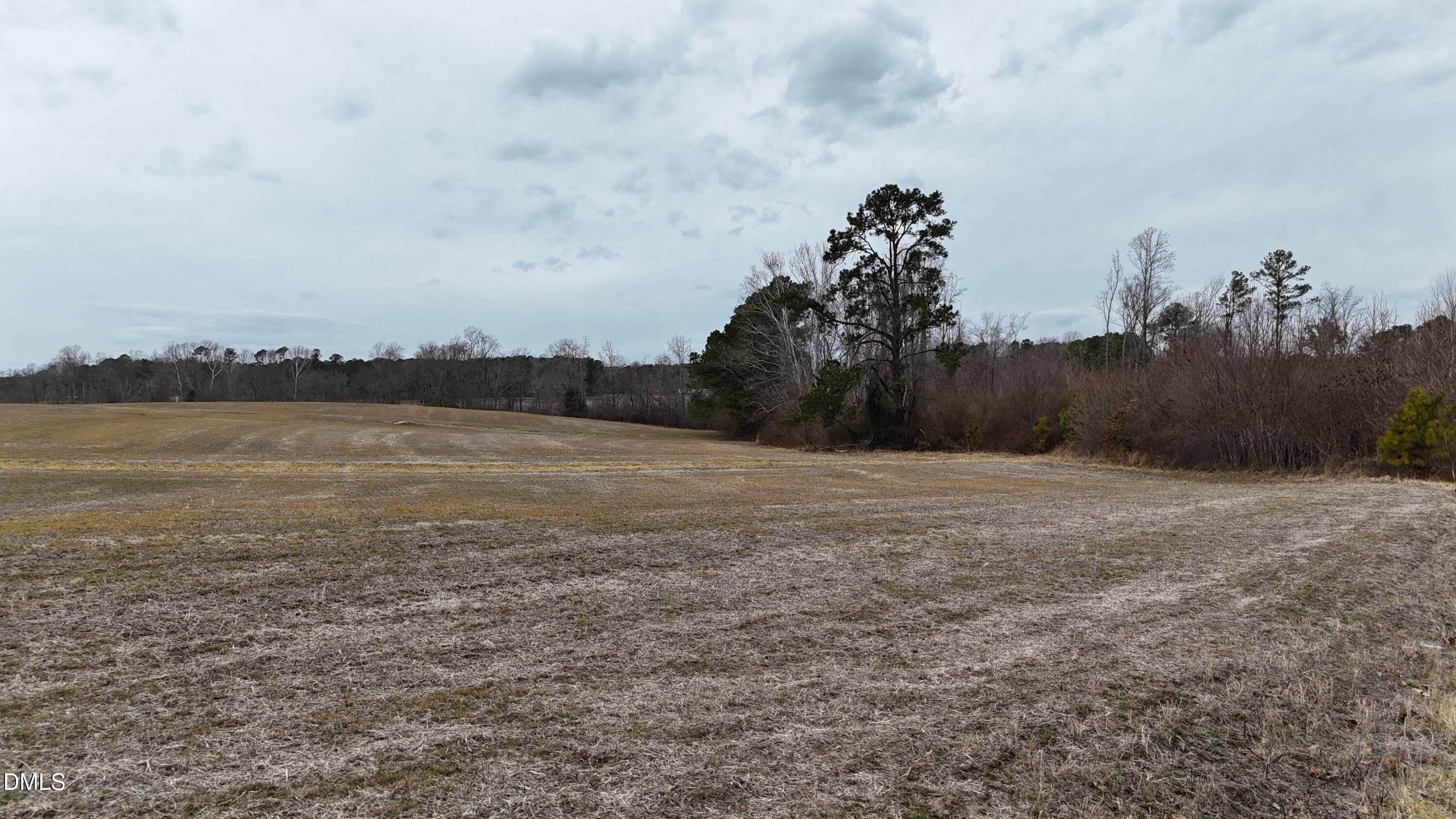 0 Walnut Grove Church Road Louisburg, NC 27549 - Photo 23 of 43 dji_fly_20260218_164346_0023_17714520588