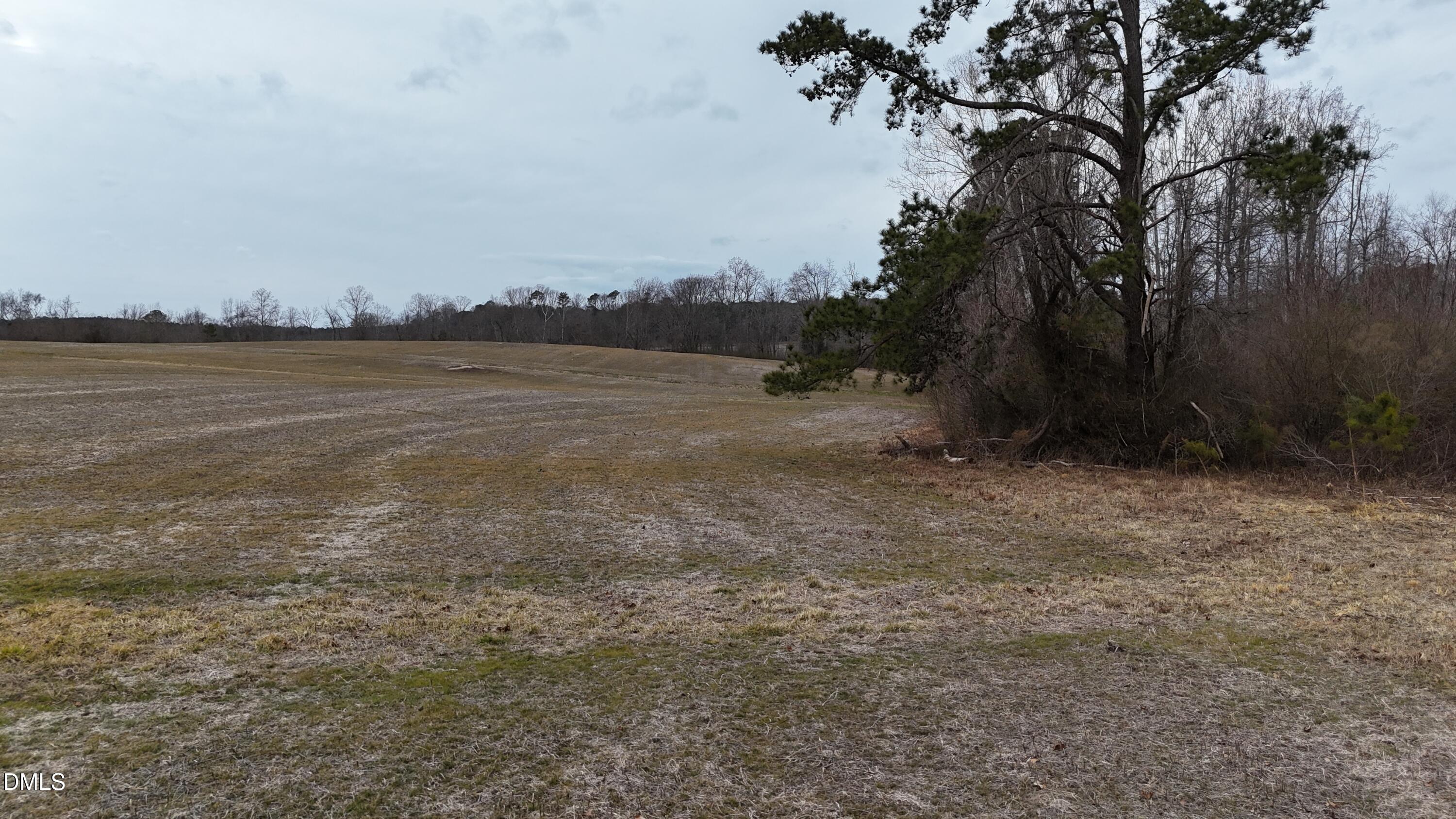 0 Walnut Grove Church Road Louisburg, NC 27549 - Photo 10 of 43 dji_fly_20260218_164420_0026_17714520579
