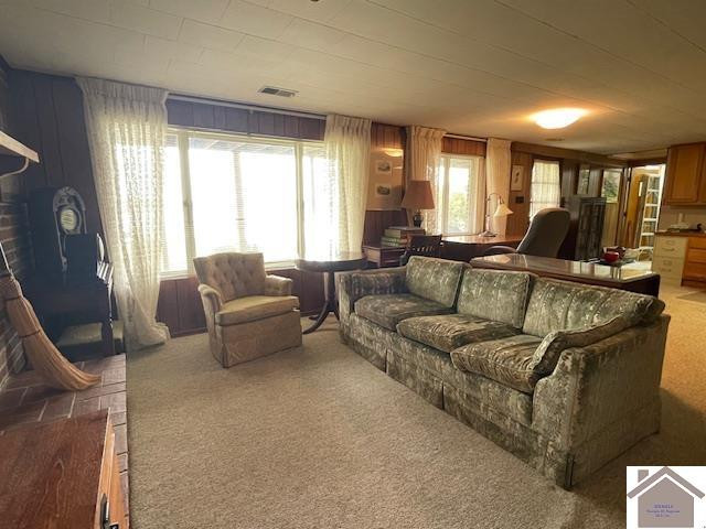 133 Blue River Road Cadiz, KY 42211 - Photo 23 of 42 Photo 23