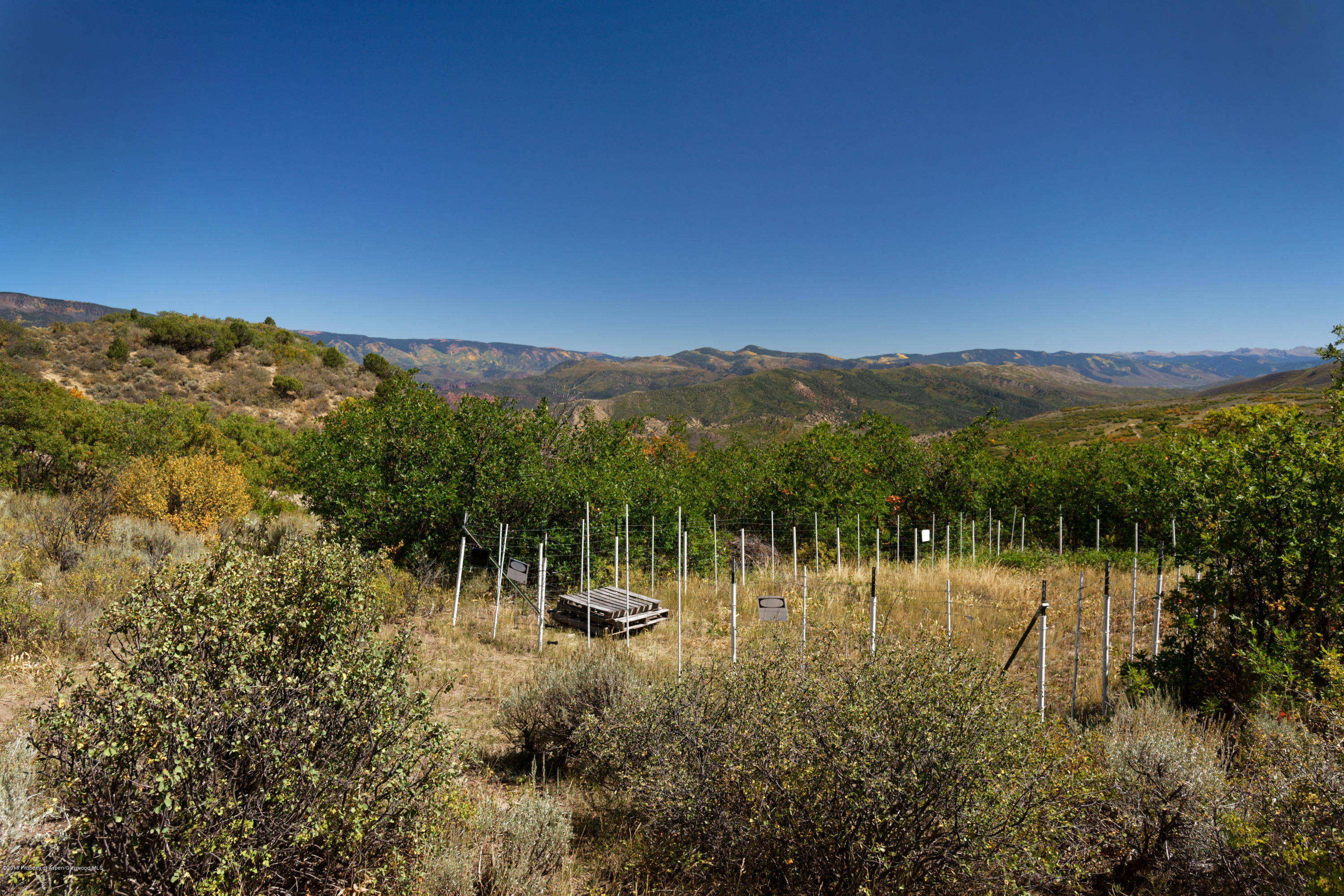 1244 Stone Road Basalt, CO 81621 - Photo 17 of 17 TBD_Skookum_HiRes016