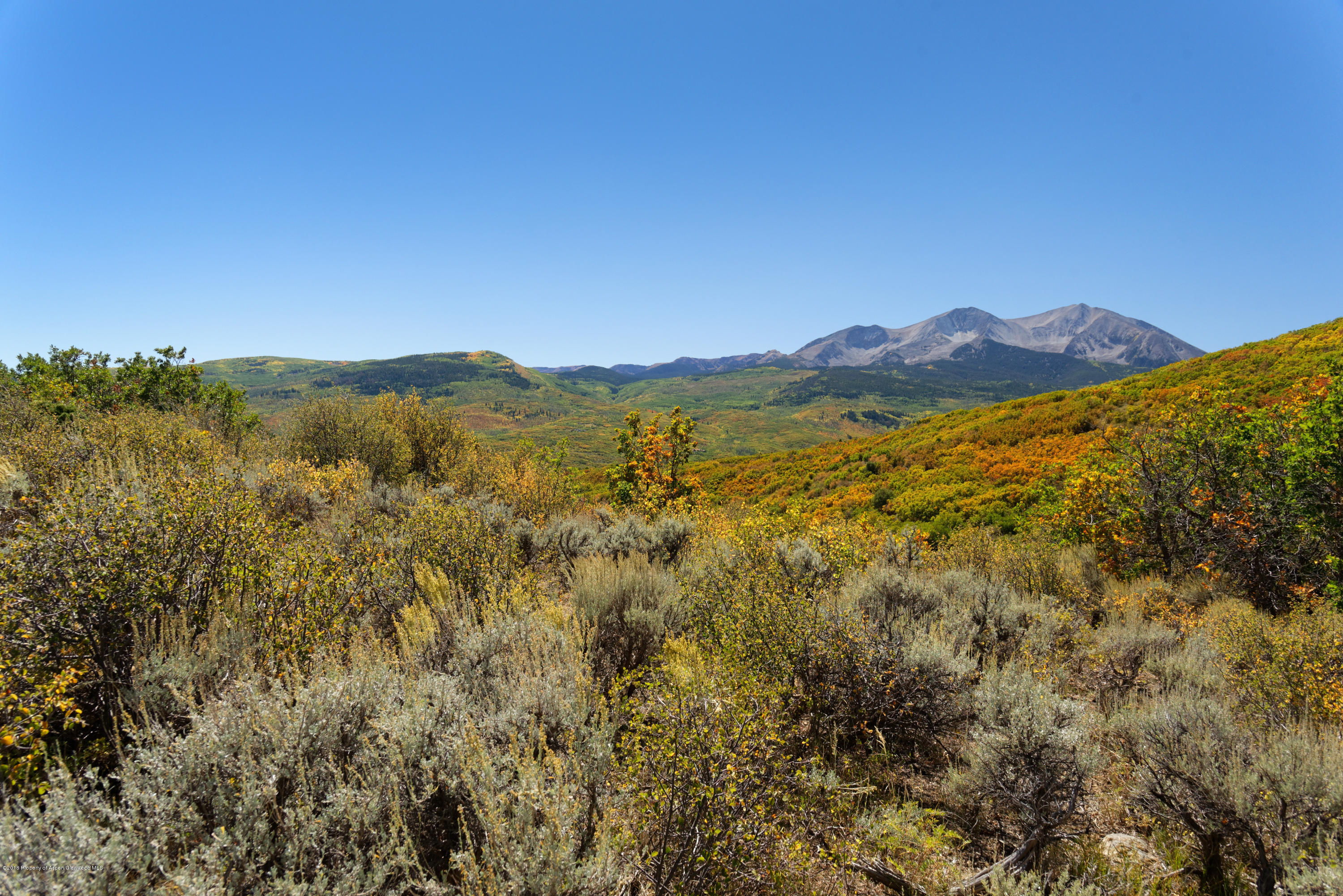 1244 Stone Road Basalt, CO 81621 - Photo 6 of 17 1244 Stone Road, Basalt
