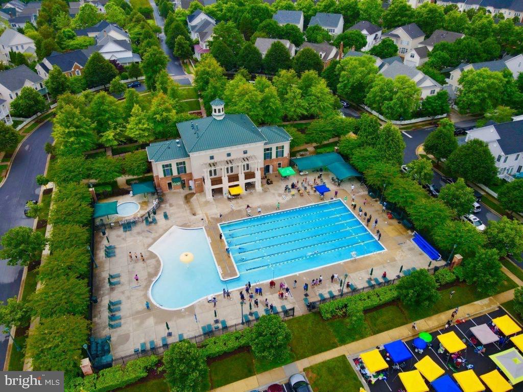 306 Pure Spring Crescent Rockville, MD 20850 - Photo 16 of 18 Vibrant community pool oasis