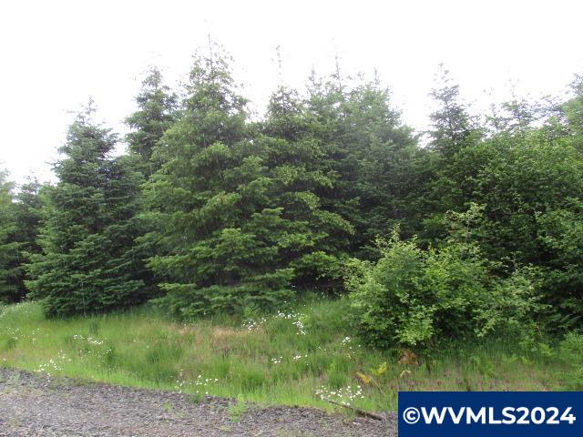 0 Northwest Fairdale Road Yamhill, OR 97148 - Photo 16 of 27