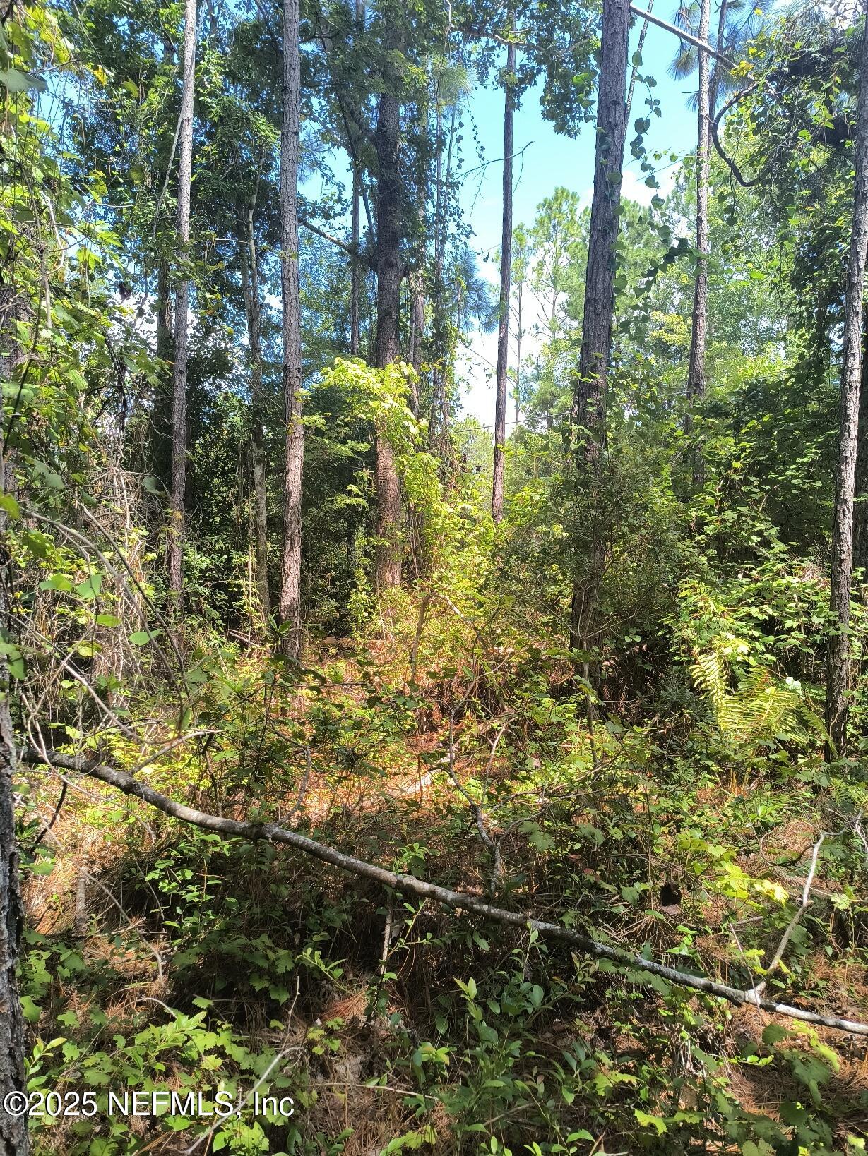 4337 Bondarenko Road Keystone Heights, FL 32656 - Photo 18 of 19 IMG_20250902_132615600_HDR