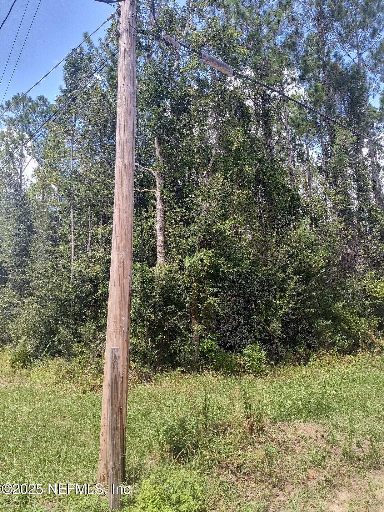 4337 Bondarenko Road Keystone Heights, FL 32656 - Photo 7 of 19 IMG_20250902_131242103_HDR