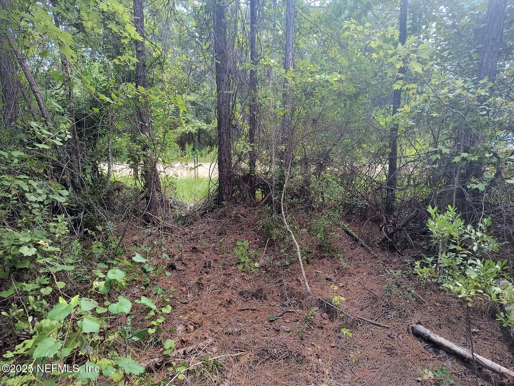 4337 Bondarenko Road Keystone Heights, FL 32656 - Photo 9 of 19 IMG_20250902_132259380_HDR