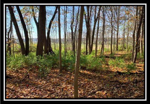 8672 Hayden Run Road Plain City, OH 43064 - Photo 1 of 24