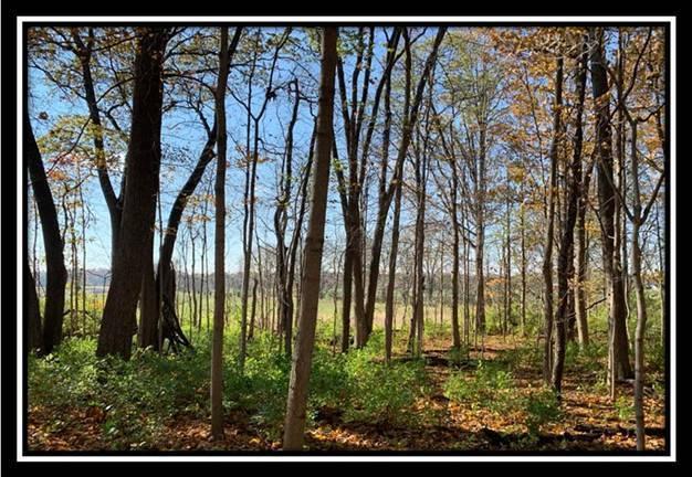 8672 Hayden Run Road Plain City, OH 43064 - Photo 12 of 24
