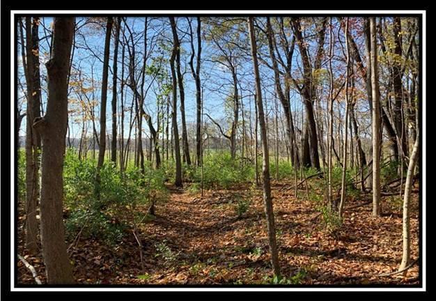 8672 Hayden Run Road Plain City, OH 43064 - Photo 13 of 24