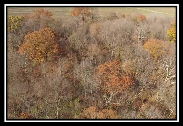 8672 Hayden Run Road Plain City, OH 43064 - Photo 18 of 24