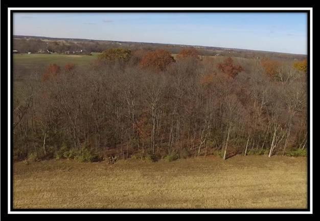 8672 Hayden Run Road Plain City, OH 43064 - Photo 22 of 24