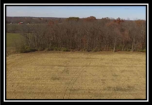 8672 Hayden Run Road Plain City, OH 43064 - Photo 7 of 24