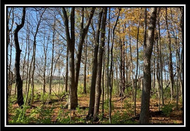 8672 Hayden Run Road Plain City, OH 43064 - Photo 9 of 24