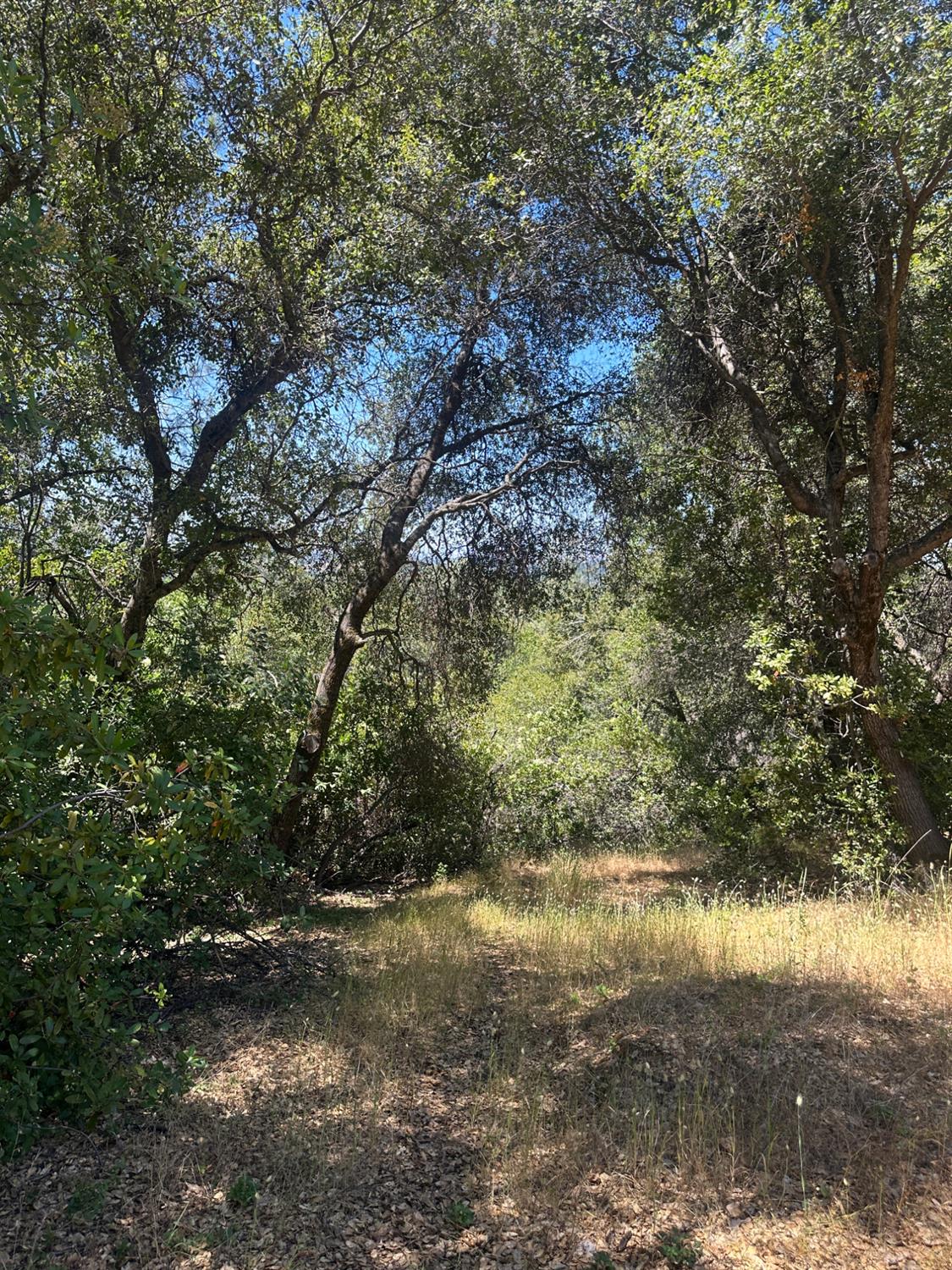 0 Bowman Road Pine Grove, CA 95665 - Photo 9 of 30