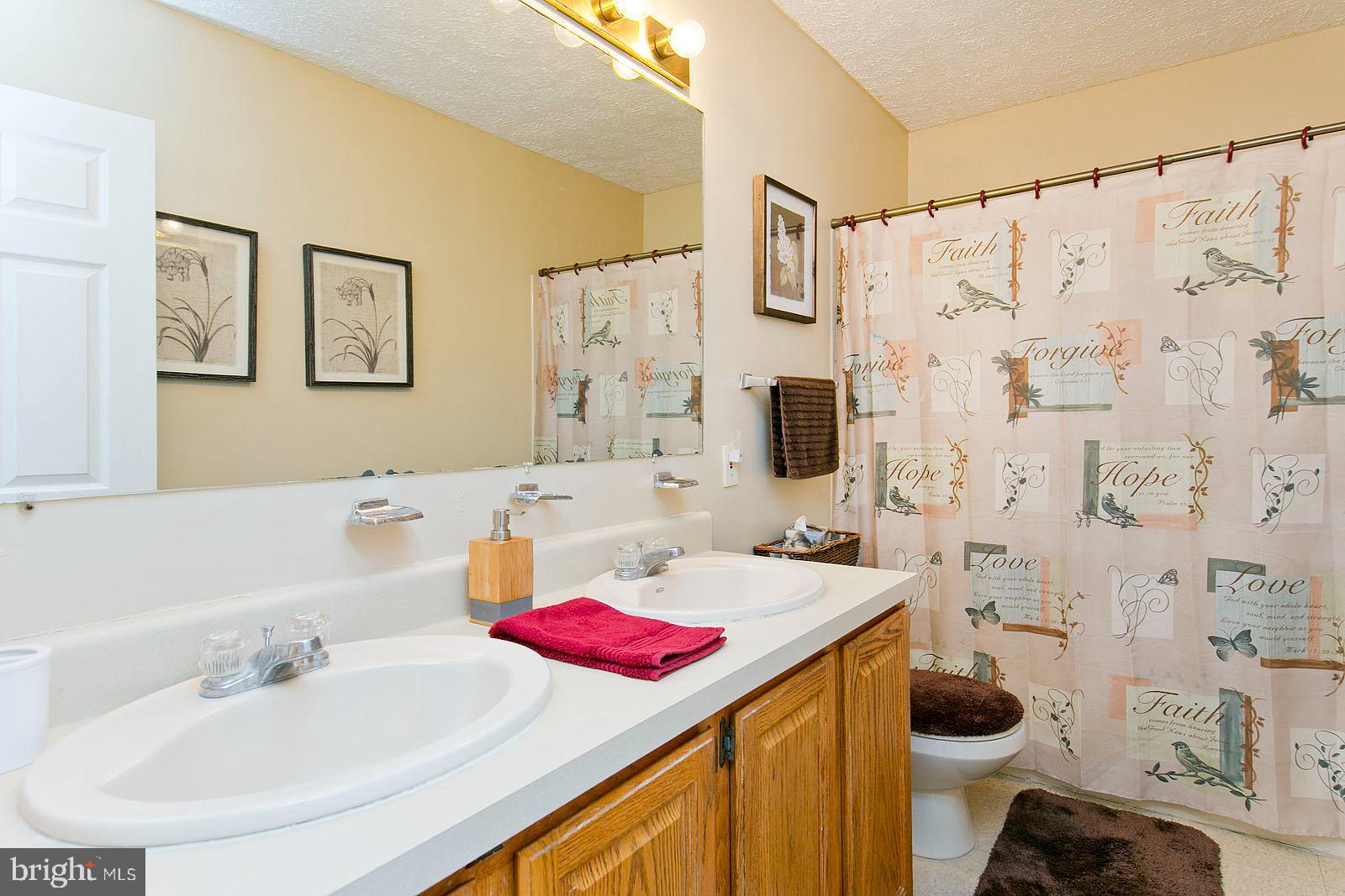 4001 Back Creek Road High View, VA 26808 - Photo 21 of 32 Bath