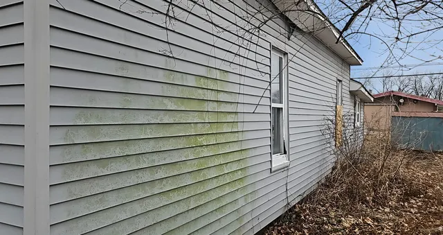 a view of a backyard