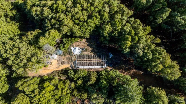 a view of a back yard