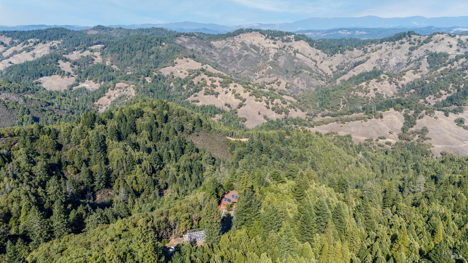 16460 Walker Lake Road Willits, CA 95490 - Photo 21 of 23 a view of a forest with a lush green forest