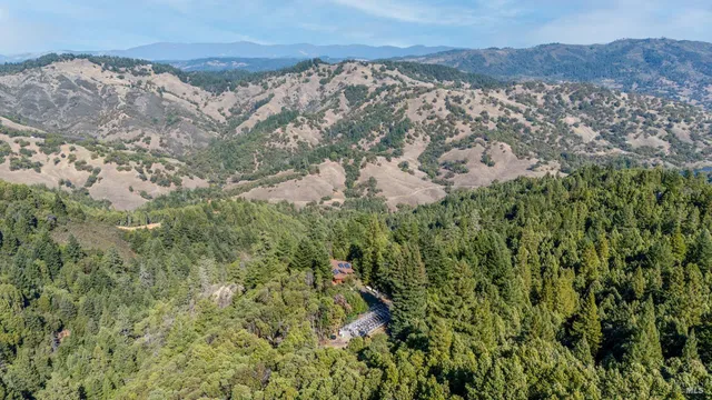 a view of a forest with a lush green hillside