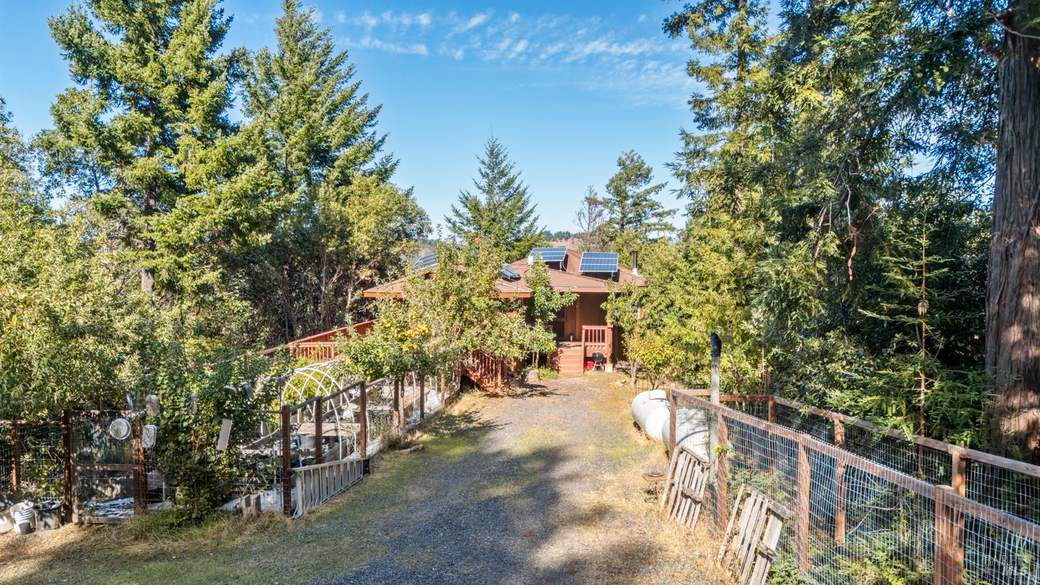 16460 Walker Lake Road Willits, CA 95490 - Photo 4 of 23 a view of outdoor space and trees