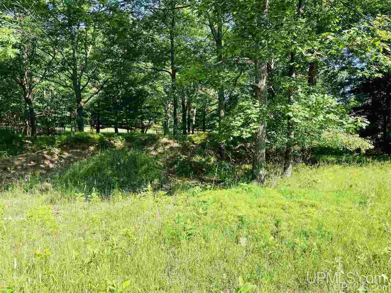 Tbd Tipperary Road, Unit 2 Gladstone, MI 49837 - Photo 1 of 5 Gallery Image 1