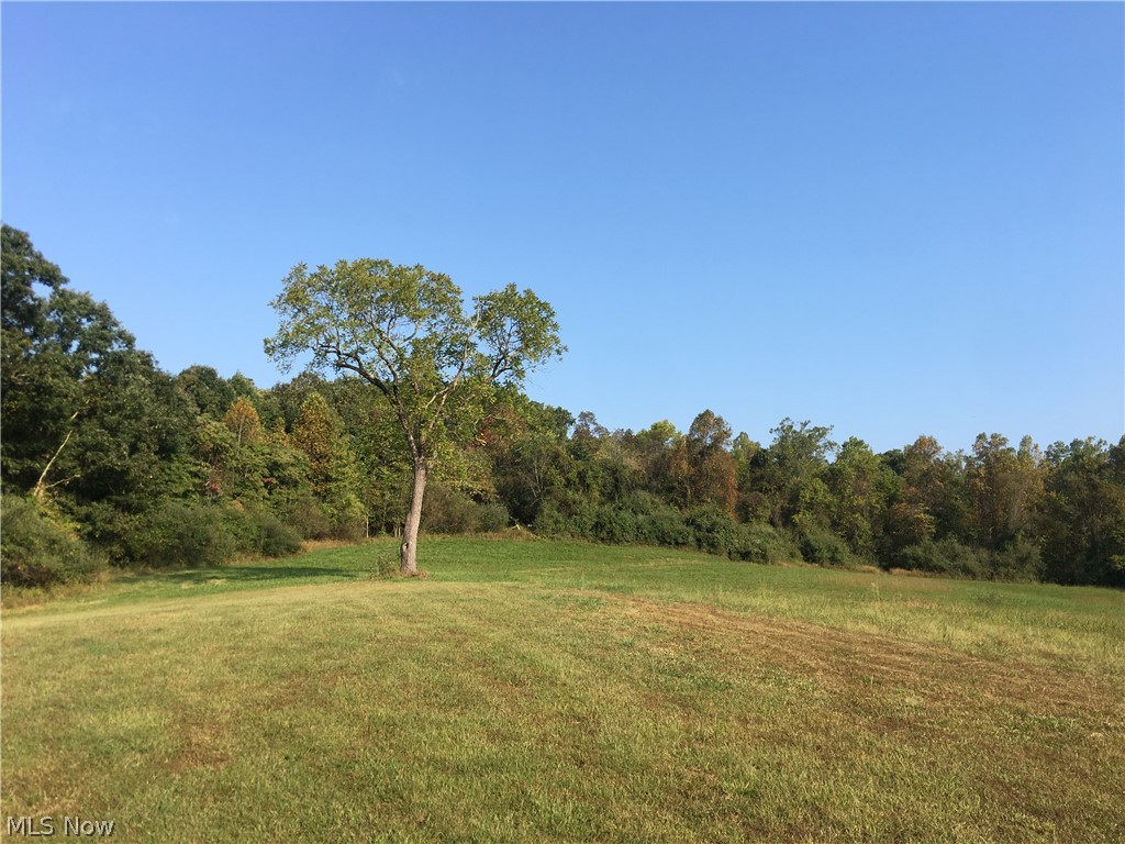 1404 East State Run Road Belleville, WV 26133 - Photo 12 of 15